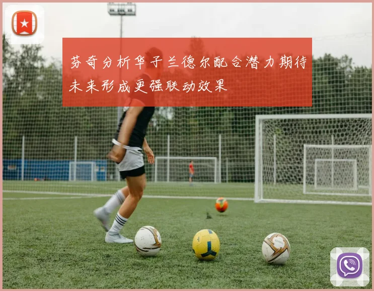 芬奇分析华子兰德尔配合潜力期待未来形成更强联动效果